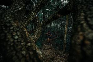 BIB: 
                            <button type="button" onclick="openModal(25680807)" class="btn btn-primary btn-sm float-right btn-popup" data-toggle="modal" data-target=".modal-high-quality">
                        <i class="fas fa-shopping-cart"></i> Add to Cart
                    </button>
                                            <button type="button" onclick="isThisMe(25680807, true)" class="btn btn-success btn-sm float-right btn-popup btn-isme hidden" data-toggle="tooltip" data-placement="bottom" title="นี่คือรูปของคุณใช่ไหม คลิกที่นี่เพื่อเอาเข้าอัลบั้ม">
                        <i class="fas fa-plus"></i> Add to album
                    </button>
                    <button type="button" onclick="isThisMe(25680807, false)" class="btn btn-warning btn-sm float-right btn-popup btn-isnotme hidden">
                        <i class="fas fa-ban"></i> Remove from album
                    </button>